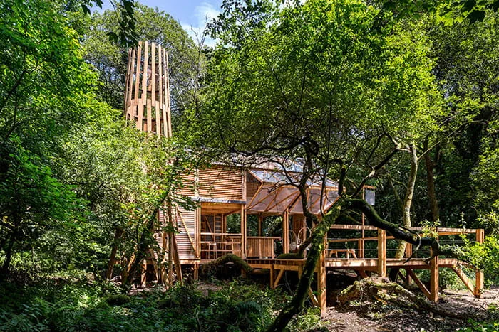 A pub in a Cornish forest