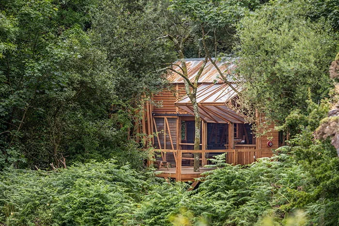A pub in a Cornish forest